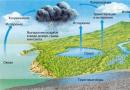 Биогеохимический круговорот азота