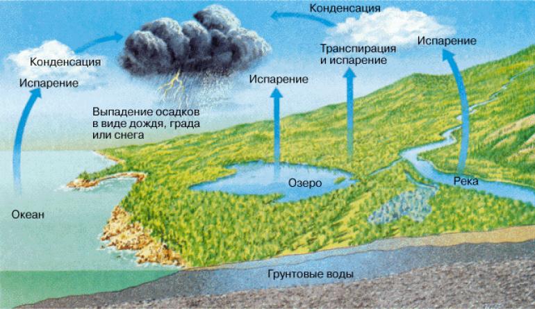 Биогеохимический круговорот азота